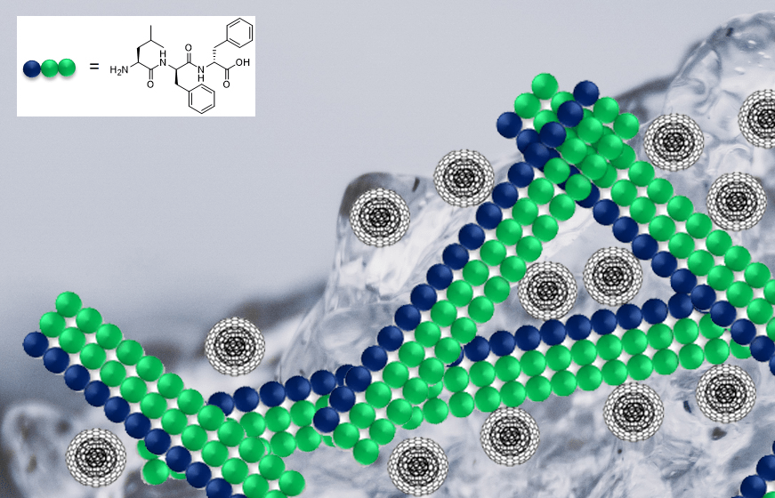 Supramolecular Hydrogels From A Tripeptide And Carbon Nano-Onions For ...